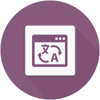 CBMS Odoo Transliterate Widget