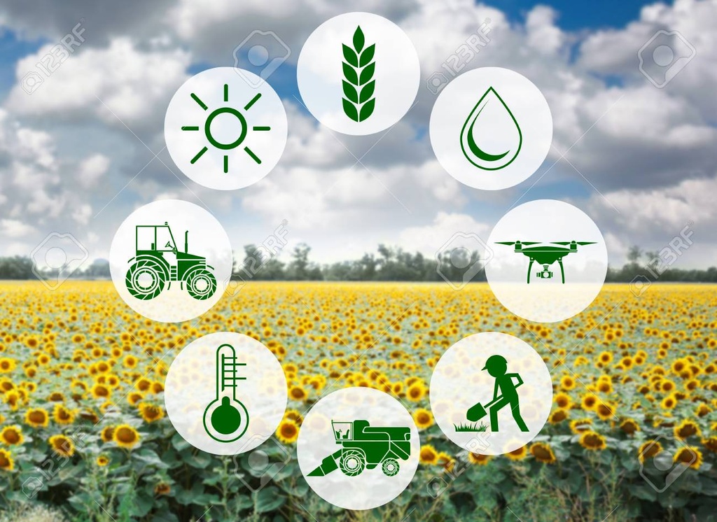 CBMS Odoo Farm Crops Management Software FARMIMS